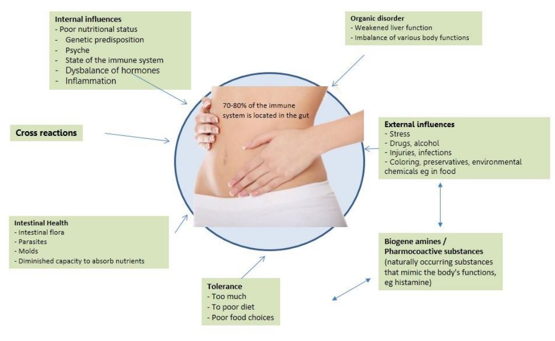 woman's stomach with arrows pointing out different causes of food sensitivity